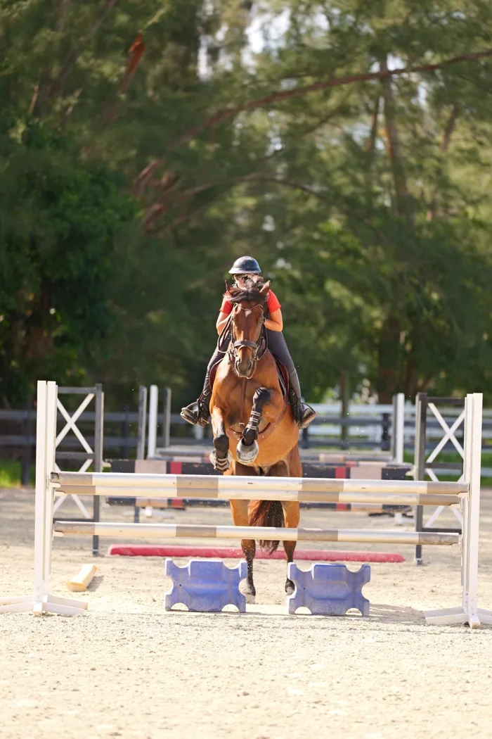 Horse and rider over a jump at L'Écurie