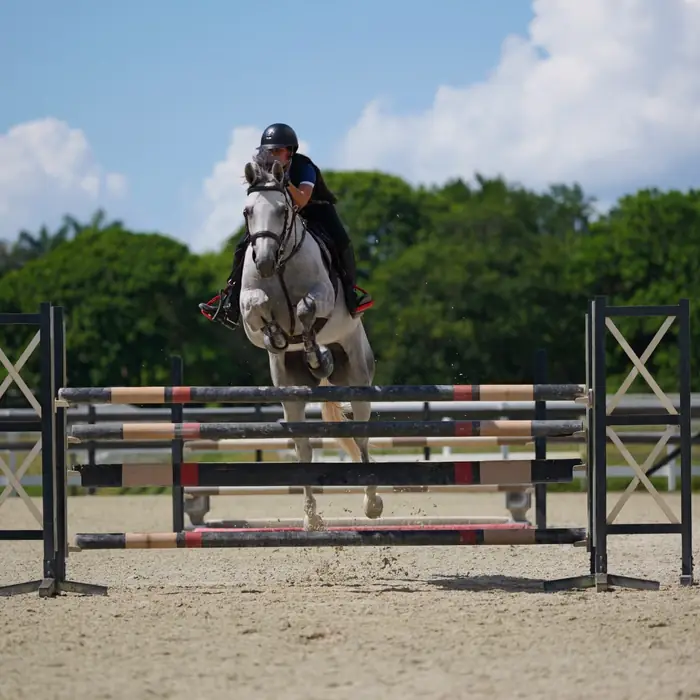 Grey horse over a show jump at L'Écurie