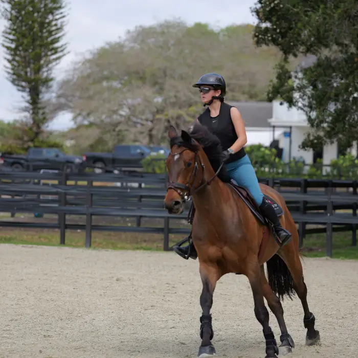 Flatwork in the arena