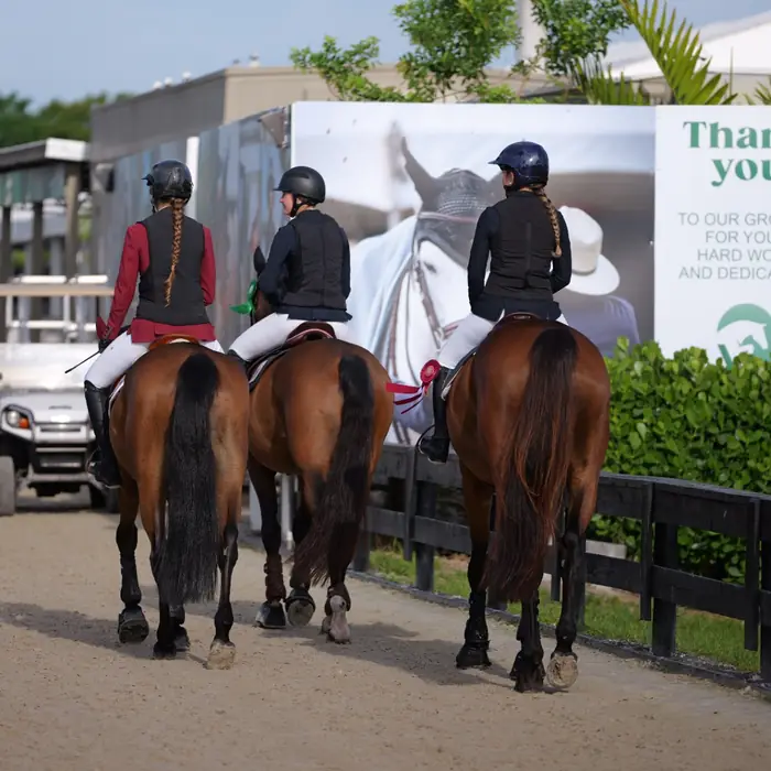 Riders heading back to the barn at the show